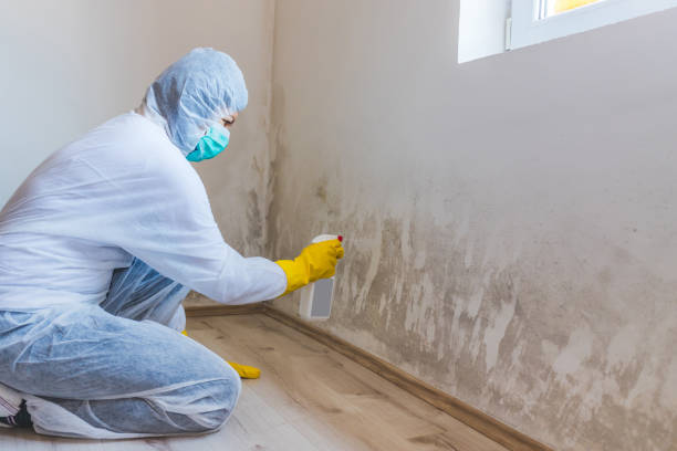 Bathroom Mold Removal assessment in Sterling bathroom